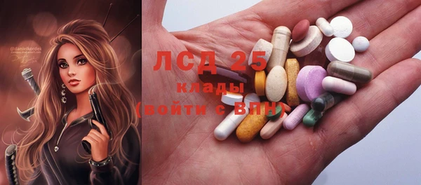спайс Баксан