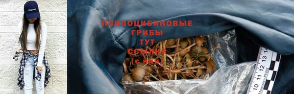 спайс Баксан