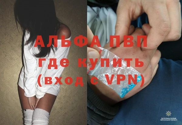 спайс Баксан