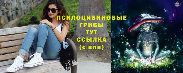 гашик Балабаново