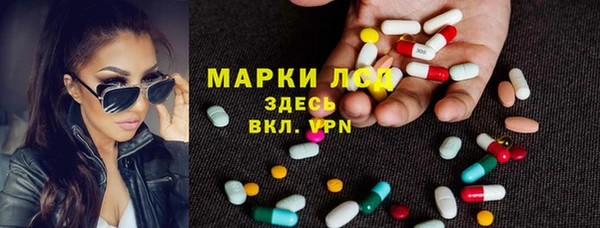 спайс Баксан