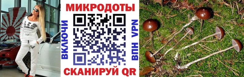 Псилоцибиновые грибы GOLDEN TEACHER  Новый Оскол 